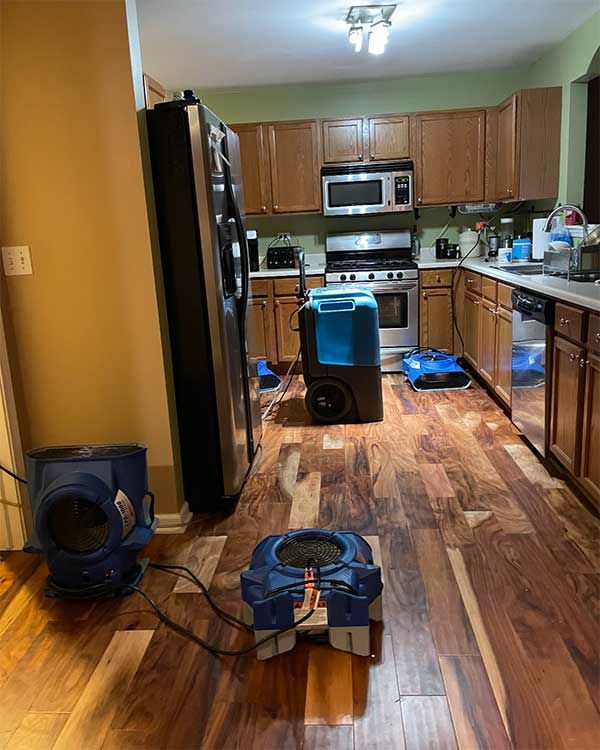 Water Damage Restoration in Ila GA