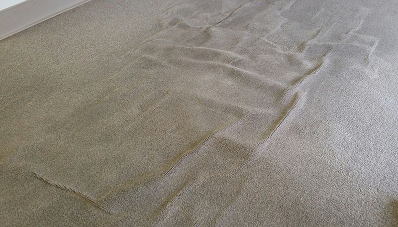 What caused my carpets to buckle and wrinkle?