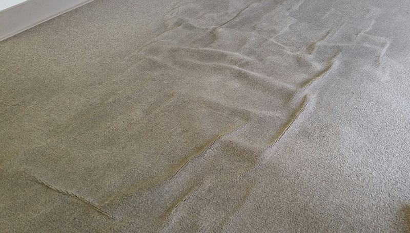 How to Flatten a Rug That's Been Folded